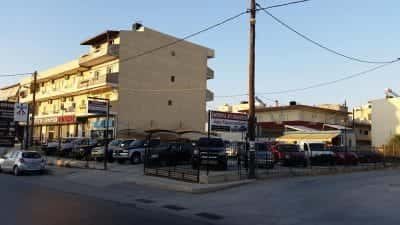 ΧΑΛΙΑΜΑΝΗ ΠΑΡΑΣΚΕΥΗ – ΣΥΜΒΟΛΑΙΟΓΡΑΦΟΣ ΙΩΑΝΝΙΝΑ