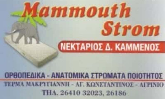 ΚΑΜΜΕΝΟΣ ΝΕΚΤΑΡΙΟΣ – MAMMOUTH STROM – ΣΤΡΩΜΑΤΑ – ΑΓΡΙΝΙΟ ΑΙΤΩΛΟΑΚΑΡΝΑΝΙΑ