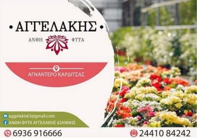 ΑΓΓΕΛΑΚΗΣ ΙΩΑΝΝΗΣ – ΘΕΡΜΟΚΗΠΙΑ ΑΓΝΑΝΤΕΡΟ ΚΑΡΔΙΤΣΑΣ – ΑΝΘΗ ΦΥΤΑ ΑΓΝΑΝΤΕΡΟ ΚΑΡΔΙΤΣΑ