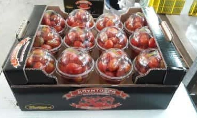 ΚΟΥΝΤΟΥΡΑΣ ΚΗΠΕΥΤΙΚΑ – ΛΑΧΑΝΙΚΑ ΠΑΛΑΙΟΧΩΡΑ ΧΑΝΙΑ ΑΓΡΟΤΙΚΟΣ ΣΥΝΕΤΑΙΡΙΣΜΟΣ ΠΑΡΑΓΩΓΩΝ ΚΗΠΕΥΤΙΚΩΝ