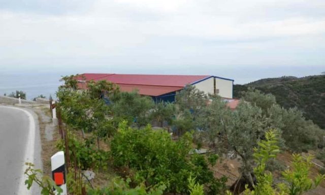 ΕΛΑΙΟΤΡΙΒΕΙΟ-ΚΟΥΤΟΥΖΗΣ ΚΩΝΣΤΑΝΤΙΝΟΣ