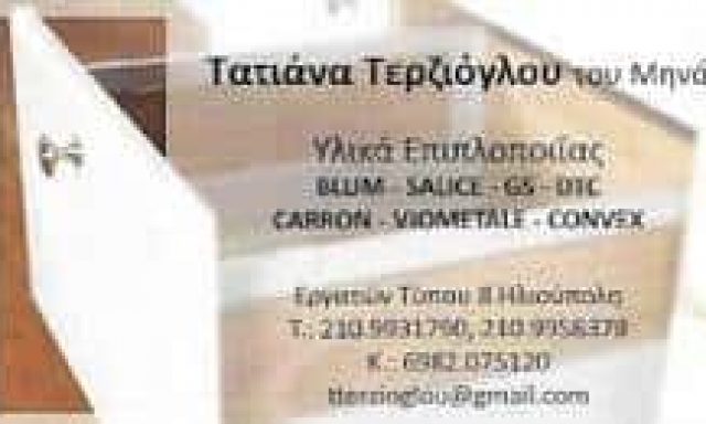 ΤΕΡΖΙΟΓΛΟΥ ΤΑΤΙΑΝΑ – ΕΙΔΗ ΕΠΙΠΛΟΠΟΙΙΑΣ – ΗΛΙΟΥΠΟΛΗ ΑΤΤΙΚΗ