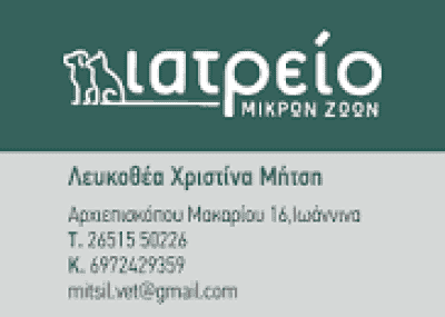 ΛΕΥΚΟΘΕΑ ΧΡΙΣΤΙΝΑ ΜΗΤΣΗ – ΙΑΤΡΕΙΟ ΜΙΚΡΩΝ ΖΩΩΝ – ΙΩΑΝΝΙΝΑ