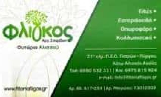 ΦΛΙΓΚΟΣ ΣΠΥΡΙΔΩΝ ΑΡΓΥΡΙΟΣ – ΦΥΤΩΡΙΑ ΦΛΙΓΚΟΣ – ΚΑΤΩ ΑΛΙΣΣΟΣ ΑΧΑΙΑΣ