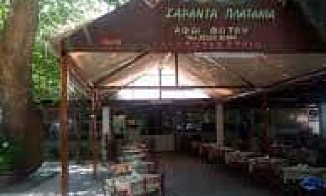 ΦΩΤΟΥ ΧΑΡΙΚΛΕΙΑ – ΣΑΡΑΝΤΑ ΠΛΑΤΑΝΙΑ ΤΑΒΕΡΝΑ ΑΙΔΗΨΟΣ ΕΥΒΟΙΑΣ