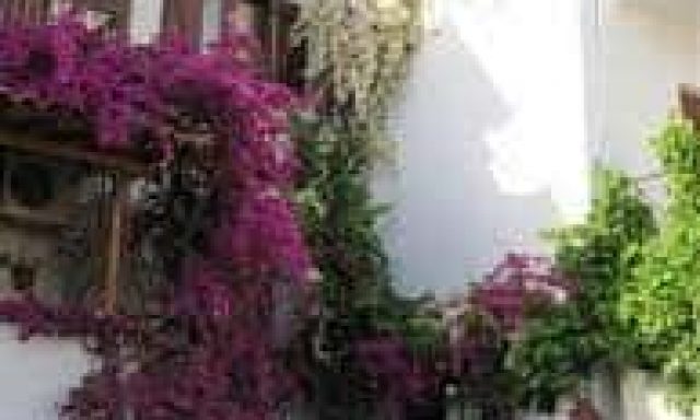 ΙΩΑΝΝΟΥ ΑΡΕΤΗ – MOURIA ΞΕΝΟΔΟΧΕΙΟ ΤΑΒΕΡΝΑ ΣΚΙΑΘΟΣ ΜΑΓΝΗΣΙΑ