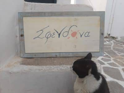 ΣΦΕΝΔΟΝΑ – ΜΑΝΩΛΑΚΗ ΣΠΥΡΙΔΟΥΛΑ – ΕΙΔΗ ΔΩΡΩΝ ΚΑΙ ΛΑΪΚΗΣ ΤΕΧΝΗΣ – ΝΑΟΥΣΑ ΠΑΡΟΥ ΚΥΚΛΑΔΕΣ