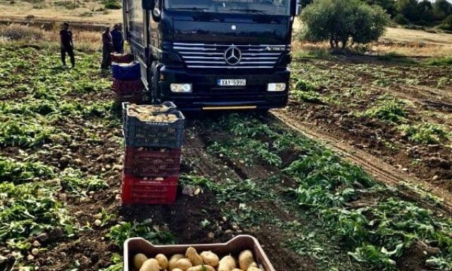ΤΖΙΡΤΖΙΛΗΣ ΔΗΜΗΤΡΙΟΣ ΟΕ – ΕΜΠΟΡΙΟ ΟΠΩΡΟΛΑΧΑΝΙΚΩΝ – ΦΡΟΥΤΕΜΠΟΡΙΚΗ – ΧΑΛΚΙΔΑ ΕΥΒΟΙΑΣ