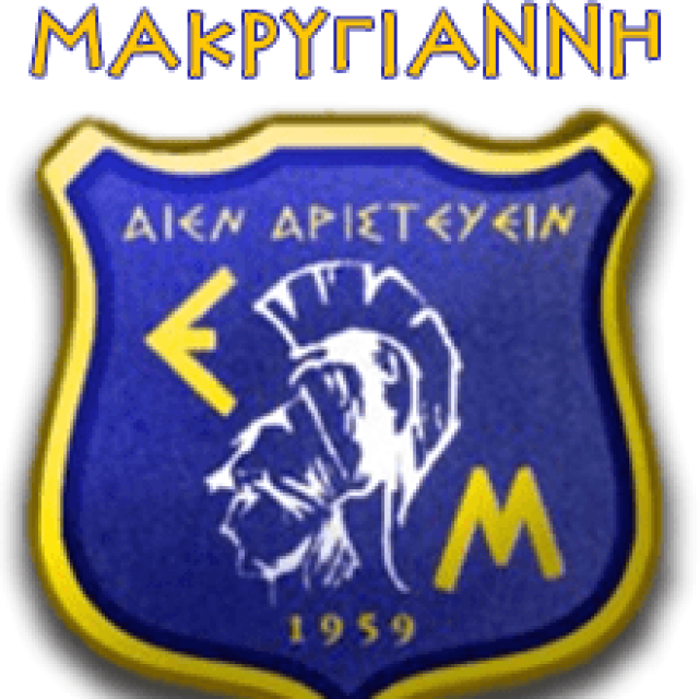 ΠΑΝΑΓΙΩΤΗΣ ΜΑΚΡΥΓΙΑΝΝΗΣ ΚΑΙ ΣΙΑ ΟΕ – ΕΚΠΑΙΔΕΥΤΗΡΙΑ ΜΑΚΡΥΓΙΑΝΝΗ – ΙΔΙΩΤΙΚΟ ΕΚΠΑΙΔΕΥΤΗΡΙΟ – ΑΝΩ ΚΟΡΥΔΑΛΛΟΣ ΑΤΤΙΚΗ