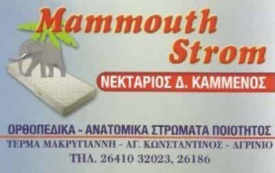 ΚΑΜΜΕΝΟΣ ΝΕΚΤΑΡΙΟΣ – MAMMOUTH STROM – ΣΤΡΩΜΑΤΑ – ΑΓΡΙΝΙΟ ΑΙΤΩΛΟΑΚΑΡΝΑΝΙΑ