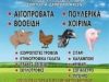 ΕΜΠΟΡΙΟ ΖΩΟΤΡΟΦΩΝ ΤΡΙΚΑΛΑ ΧΑΛΒΑΤΖΑΣ ΚΩΝΣΤΑΝΤΙΝΟΣ