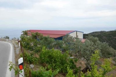 ΕΛΑΙΟΤΡΙΒΕΙΟ-ΚΟΥΤΟΥΖΗΣ ΚΩΝΣΤΑΝΤΙΝΟΣ